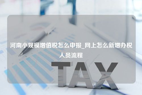 河南小规模增值税怎么申报_网上怎么新增办税人员流程