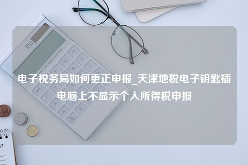 电子税务局如何更正申报_天津地税电子钥匙插电脑上不显示个人所得税申报